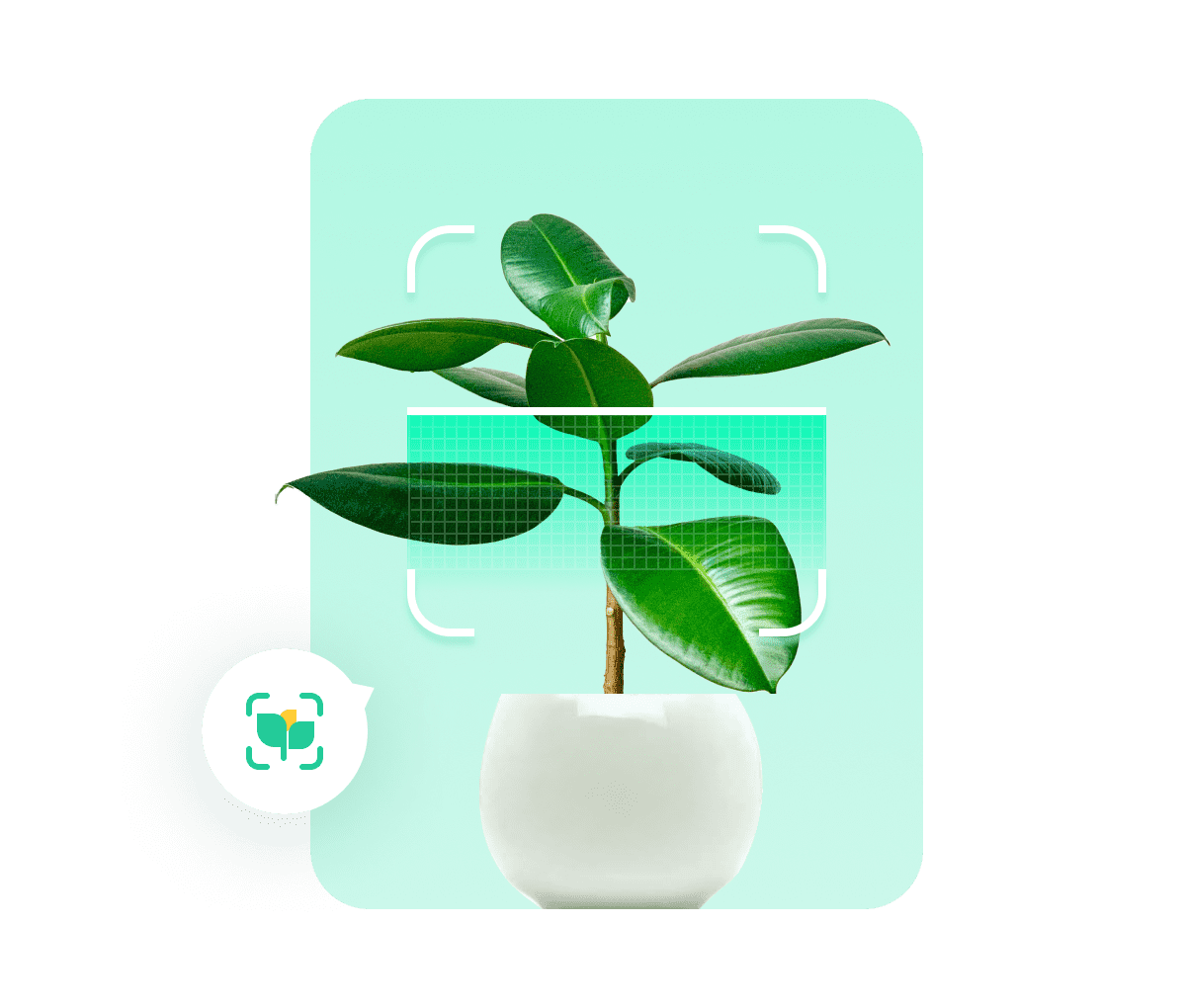 Plant Parent The Top Gardening Tips My Care Guide App